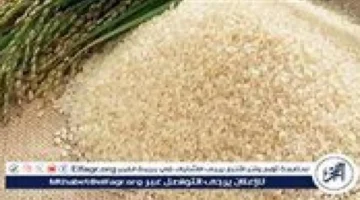 أسعار الأرز الأبيض والشعير في المنيا الأربعاء 26 نوفمبر 2025